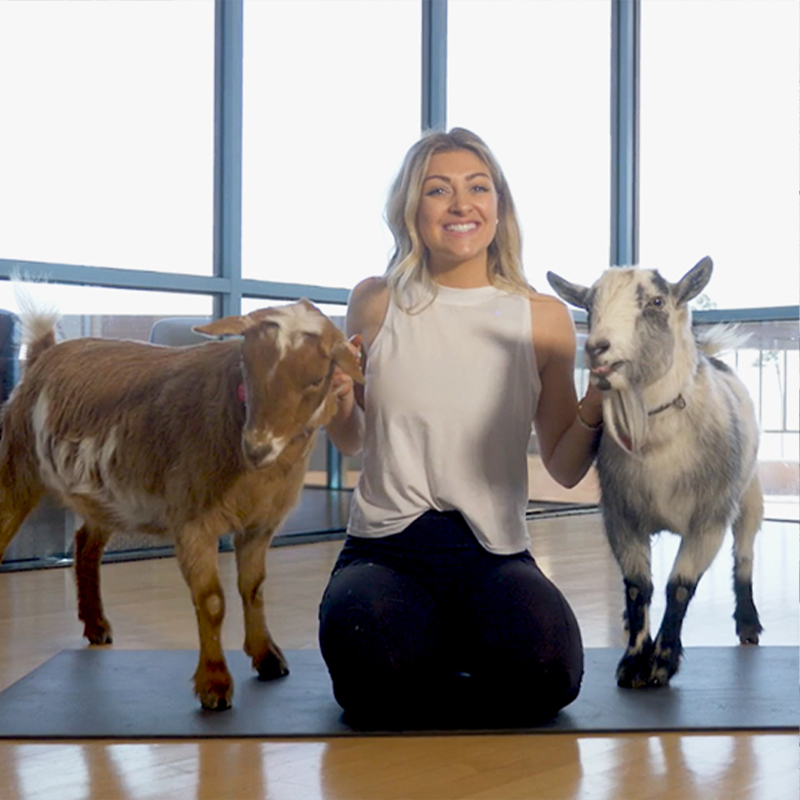 Marissa Tries Goat Yoga