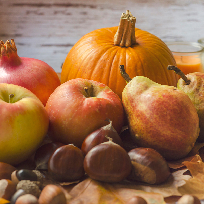 Apples, Pumpkins, and Fall, oh my!